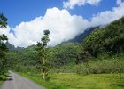 i Tahiti (26)